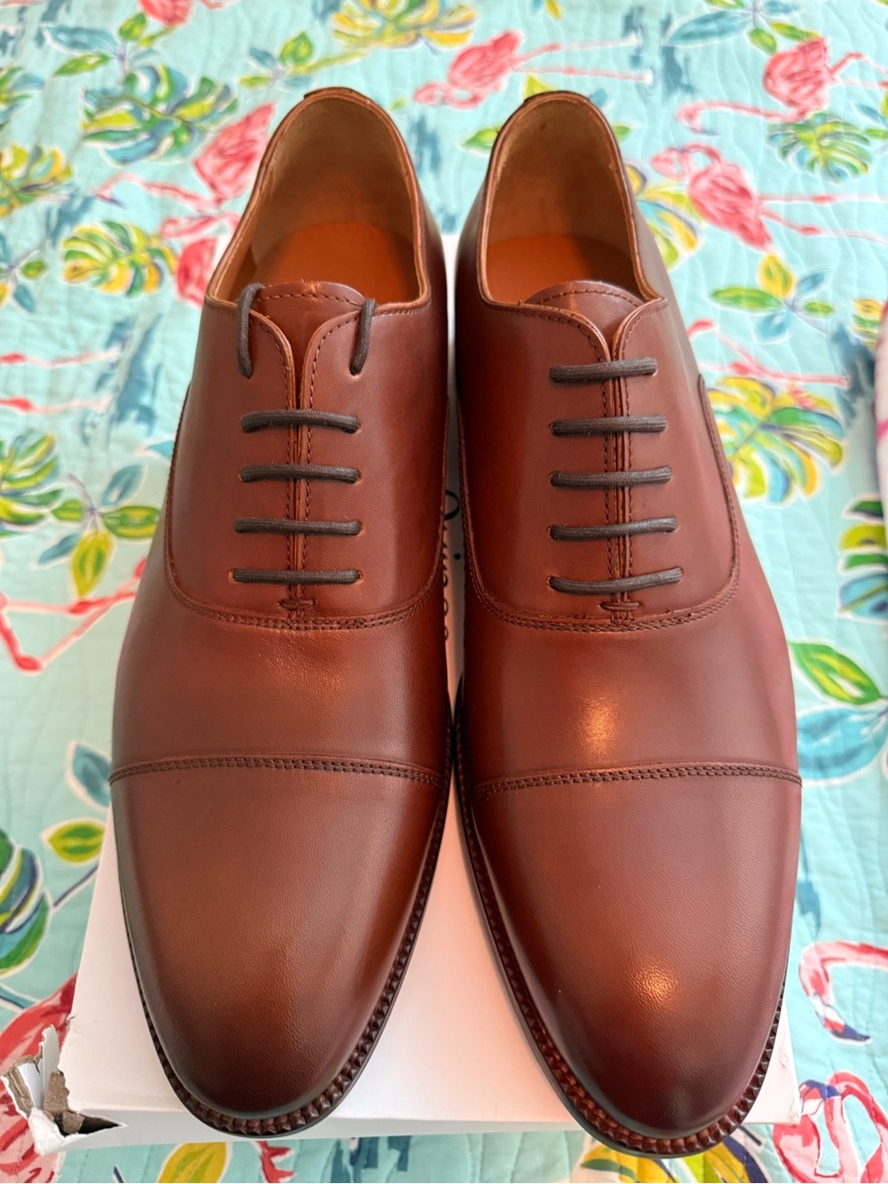 Men's Brown Cap-Toe Oxford Dress Shoes - Classic Leather size 12 Quince